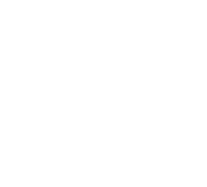 Lotus-03